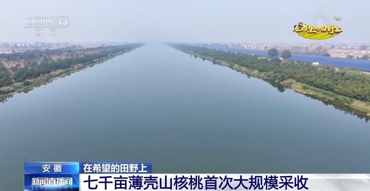 全国秋粮收获进入高峰期 各地采收进行中→ 全国秋粮收获进入高峰期 各地采收进行中→