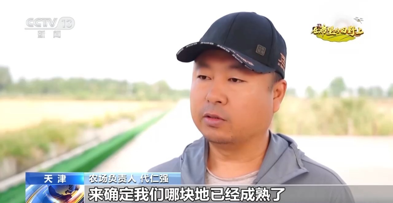 全国秋粮收获进入高峰期 各地采收进行中→ 全国秋粮收获进入高峰期 各地采收进行中→