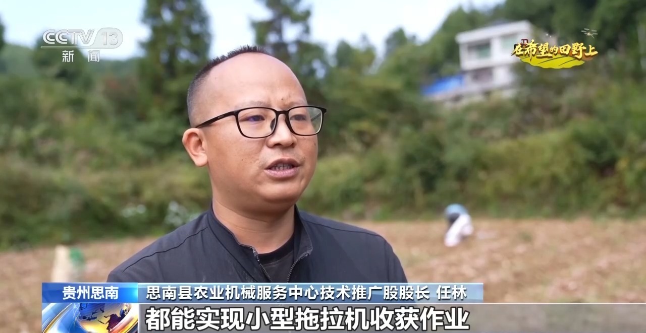 全国秋粮收获进入高峰期 各地采收进行中→ 全国秋粮收获进入高峰期 各地采收进行中→