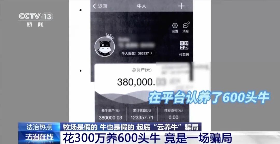 投300万元认养600头牛?起底“云养牛”骗局,12万人被骗5.6亿元 投300万元认养600头牛?起底“云养牛”骗局,12万人被骗5.6亿元