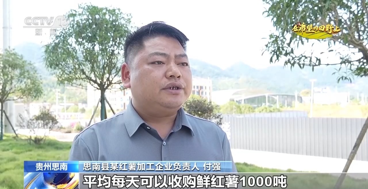 全国秋粮收获进入高峰期 各地采收进行中→ 全国秋粮收获进入高峰期 各地采收进行中→