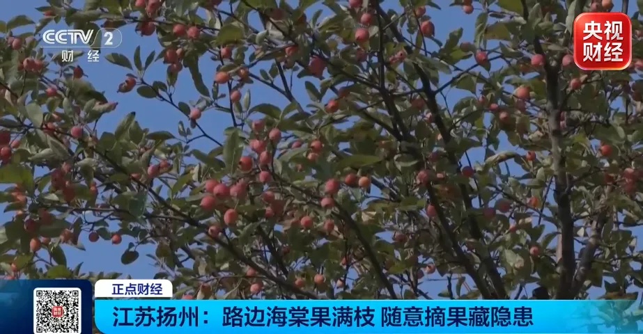 路边好看的小果子暗藏风险!别捡别摘别吃 路边好看的小果子暗藏风险!别捡别摘别吃