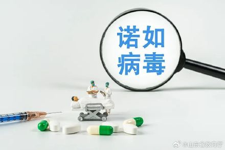 诺如病毒进入高发期!该如何应对?转给师生家长 诺如病毒进入高发期!该如何应对?转给师生家长