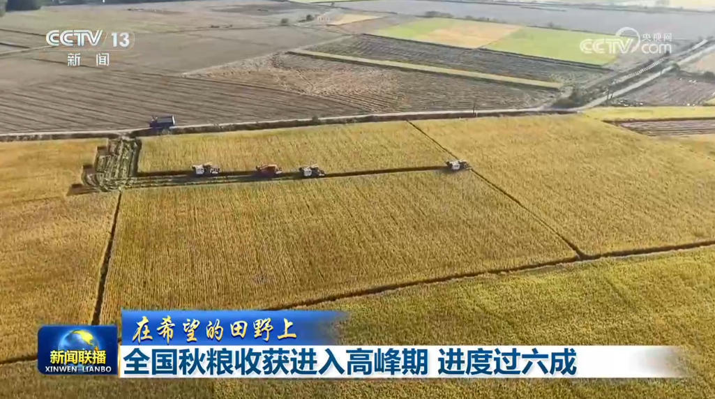 【在希望的田野上】全国秋粮收获进入高峰期 进度过六成