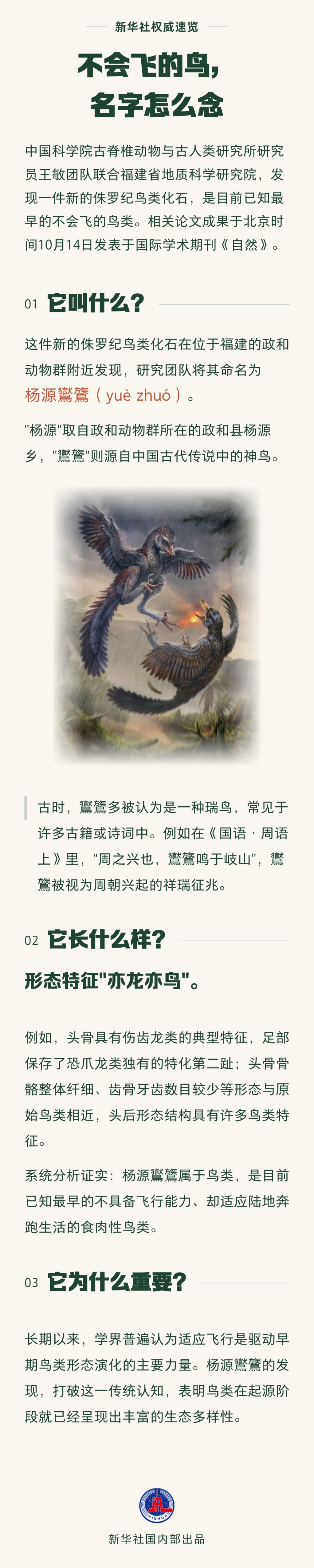 它叫“杨源鸑鷟”（内有读音），它不会飞……