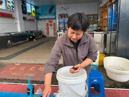 大闸蟹价格崩了？上海市场：精品蟹价格坚挺！普蟹价格回落，供给增加是重要原因