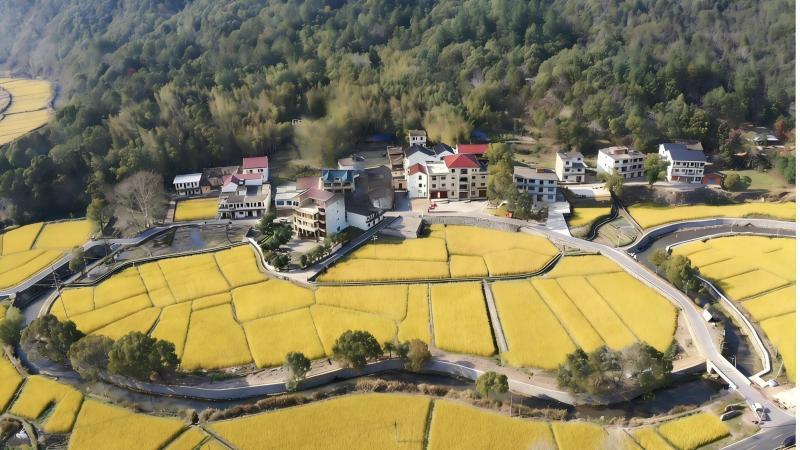 江西水文化再添“金名片” 千年黄沙渠入选世界灌溉工程遗产名录 江西水文化再添“金名片” 千年黄沙渠入选世界灌溉工程遗产名录