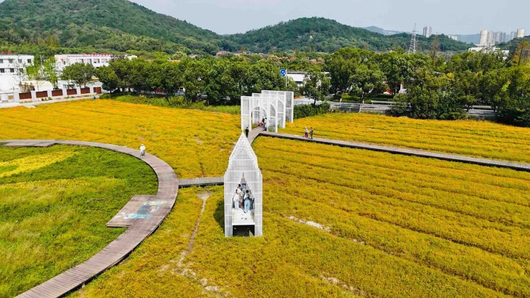 价格低三成!错峰追秋进入最佳时段,“银发族”成主力 价格低三成!错峰追秋进入最佳时段,“银发族”成主力