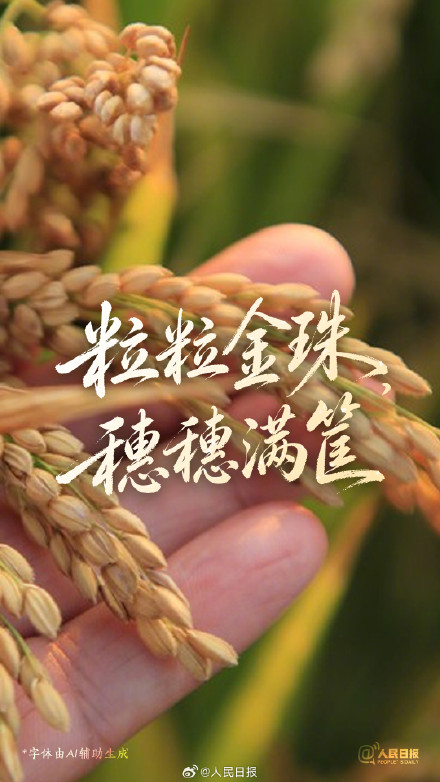 每一粒种子,都有自己的秋天 每一粒种子,都有自己的秋天