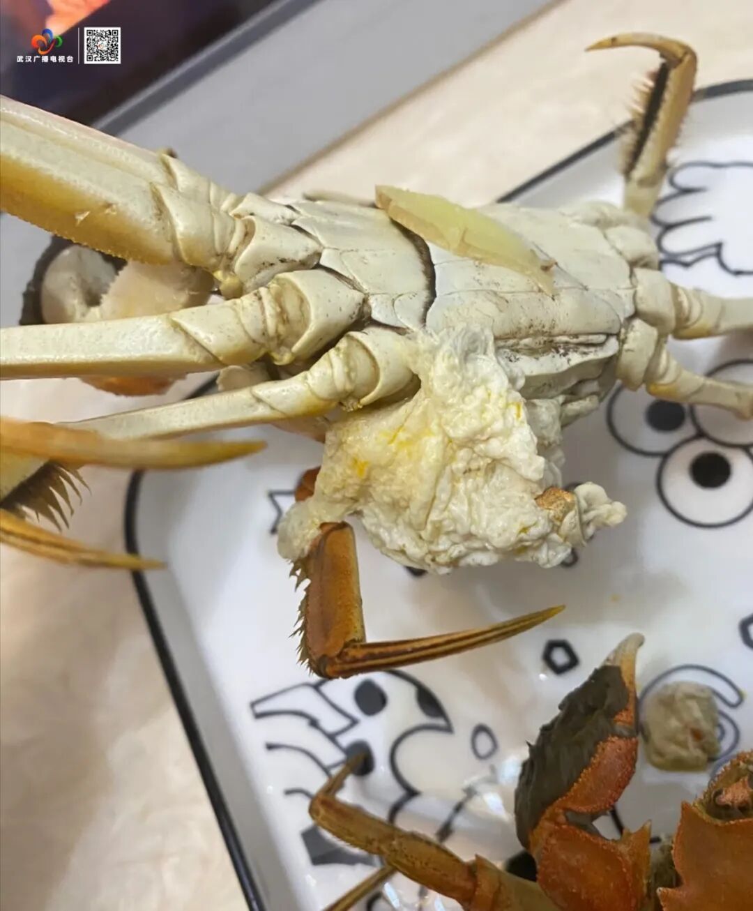 蒸螃蟹冒出的“鸡蛋白”到底是啥?协和医生:能吃,但是…… 蒸螃蟹冒出的“鸡蛋白”到底是啥?协和医生:能吃,但是……