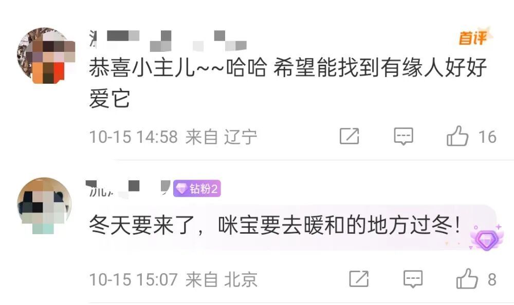 天安门站岗小橘猫“进宫”了!故宫回应:正在体检,优先寻找领养 天安门站岗小橘猫“进宫”了!故宫回应:正在体检,优先寻找领养