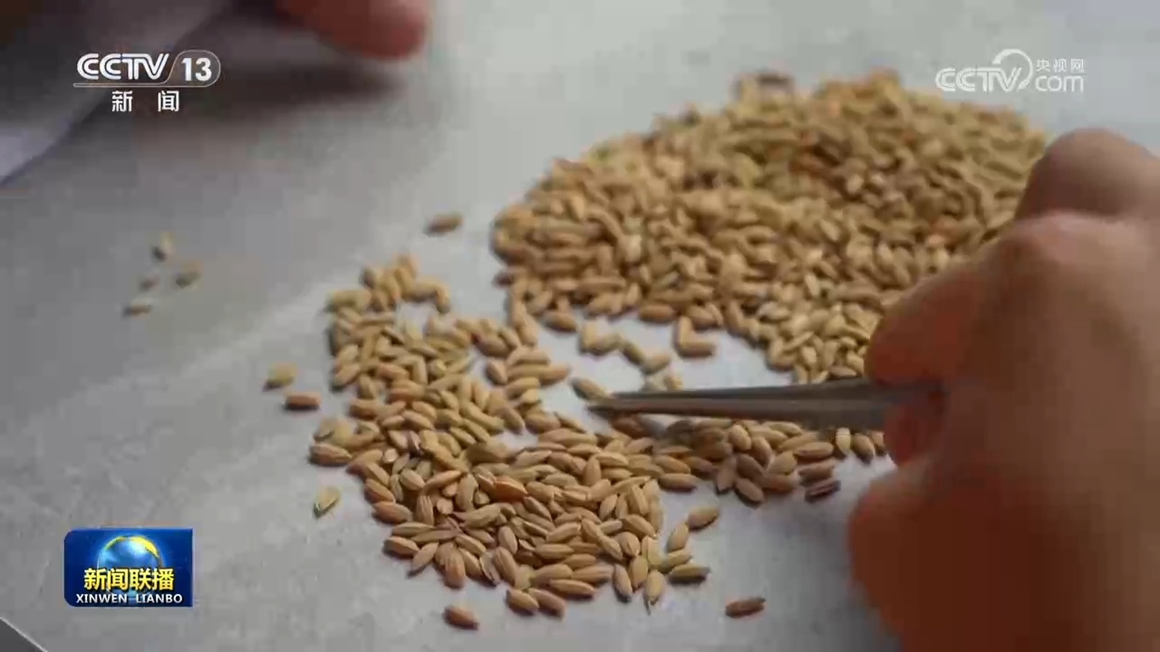 我国智能粮仓建设取得显著成效