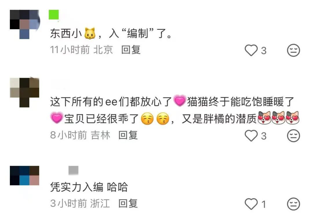 天安门站岗小橘猫“进宫”了!故宫回应 天安门站岗小橘猫“进宫”了!故宫回应