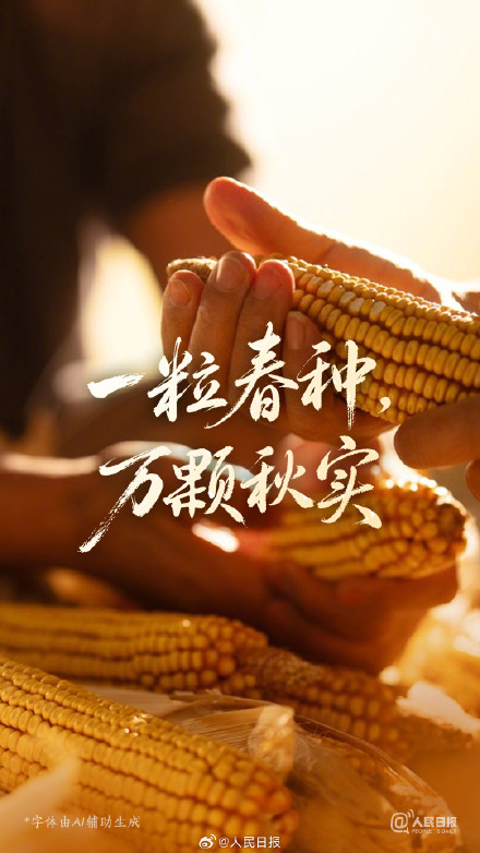 每一粒种子,都有自己的秋天 每一粒种子,都有自己的秋天