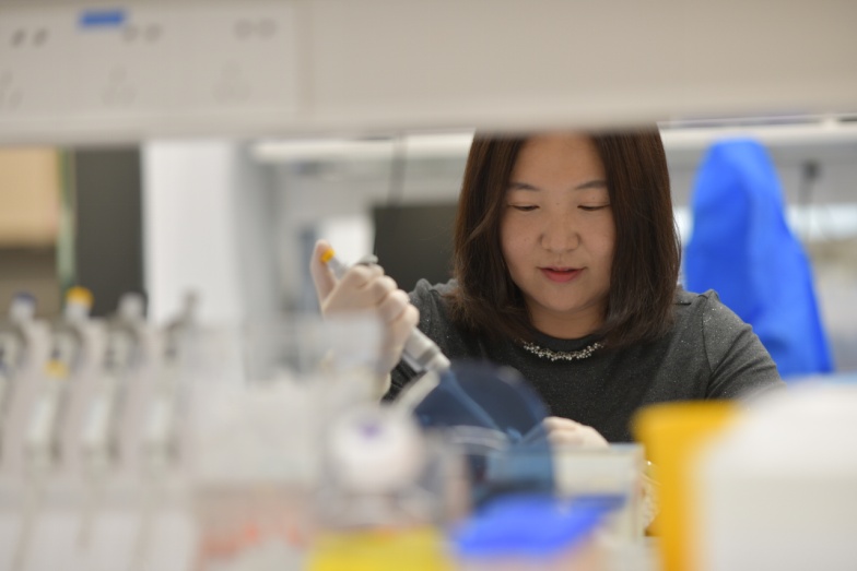 我国科学家找到蚊子“嗅觉导航”的关键拼图