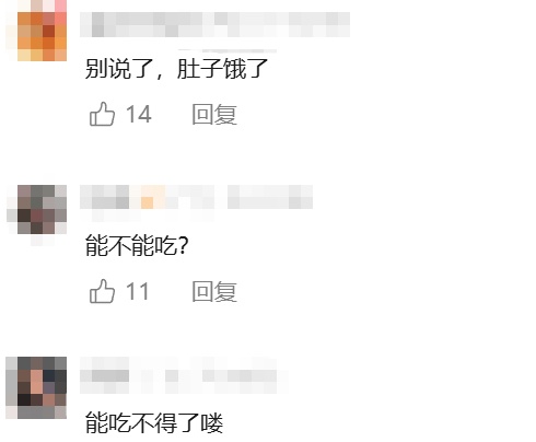 高半米、重超2公斤!新型巨无霸菌子被发现,网友好奇:能吃吗? 高半米、重超2公斤!新型巨无霸菌子被发现,网友好奇:能吃吗?