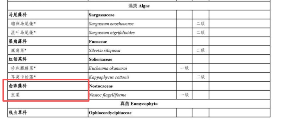 这种酷似头发的野菜是国家一级保护植物 这种酷似头发的野菜是国家一级保护植物