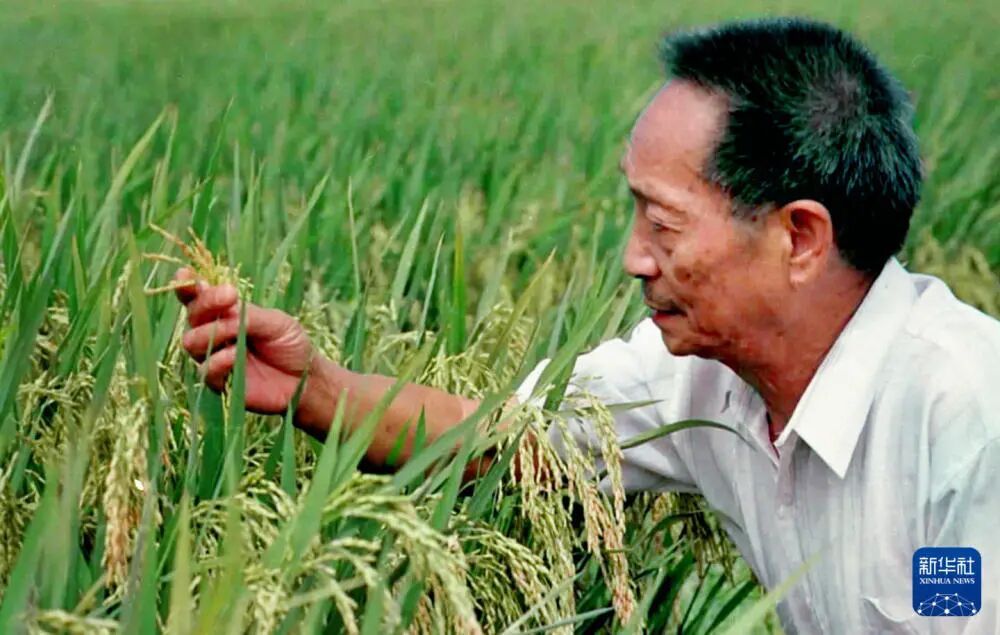 今天,我们格外怀念他 今天,我们格外怀念他