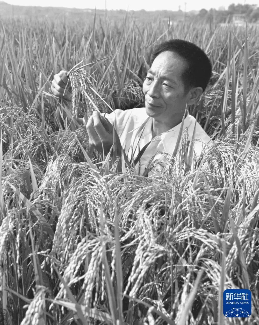 今天,我们格外怀念他 今天,我们格外怀念他