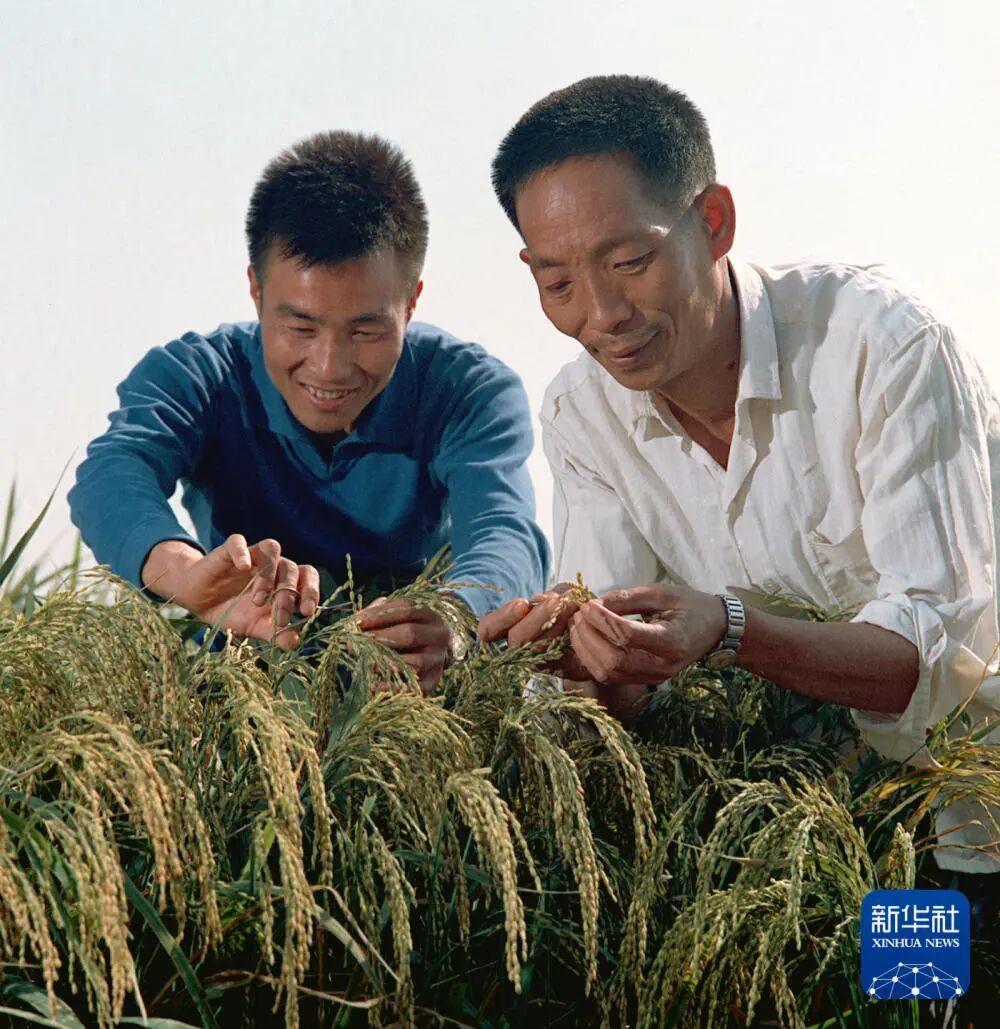 今天,我们格外怀念他 今天,我们格外怀念他