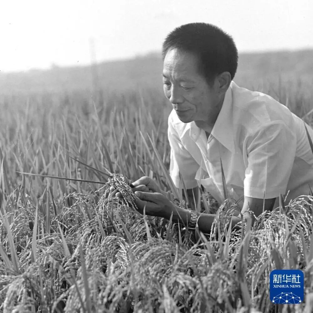 今天,我们格外怀念他 今天,我们格外怀念他