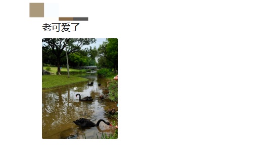 深圳一公园惊现“烫头鸭”!网友惊呼:竟然比我还卷 深圳一公园惊现“烫头鸭”!网友惊呼:竟然比我还卷