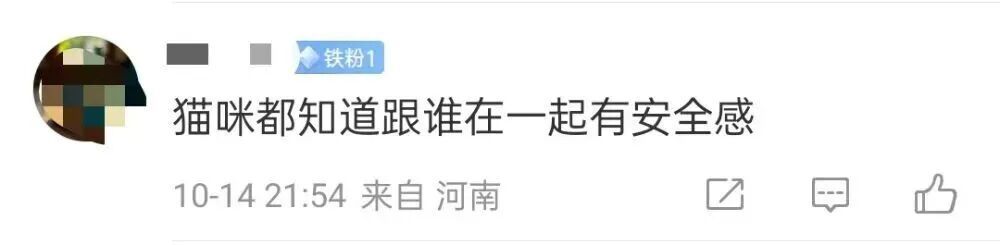 天安门“站岗”的小橘猫,你的福气在后头! 天安门“站岗”的小橘猫,你的福气在后头!