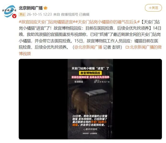 天安门“站岗”的小橘猫,你的福气在后头! 天安门“站岗”的小橘猫,你的福气在后头!