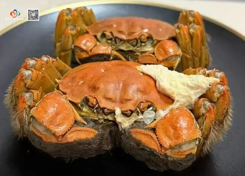 蒸螃蟹冒出的“鸡蛋白”到底是啥?协和医生:能吃,但是…… 蒸螃蟹冒出的“鸡蛋白”到底是啥?协和医生:能吃,但是……