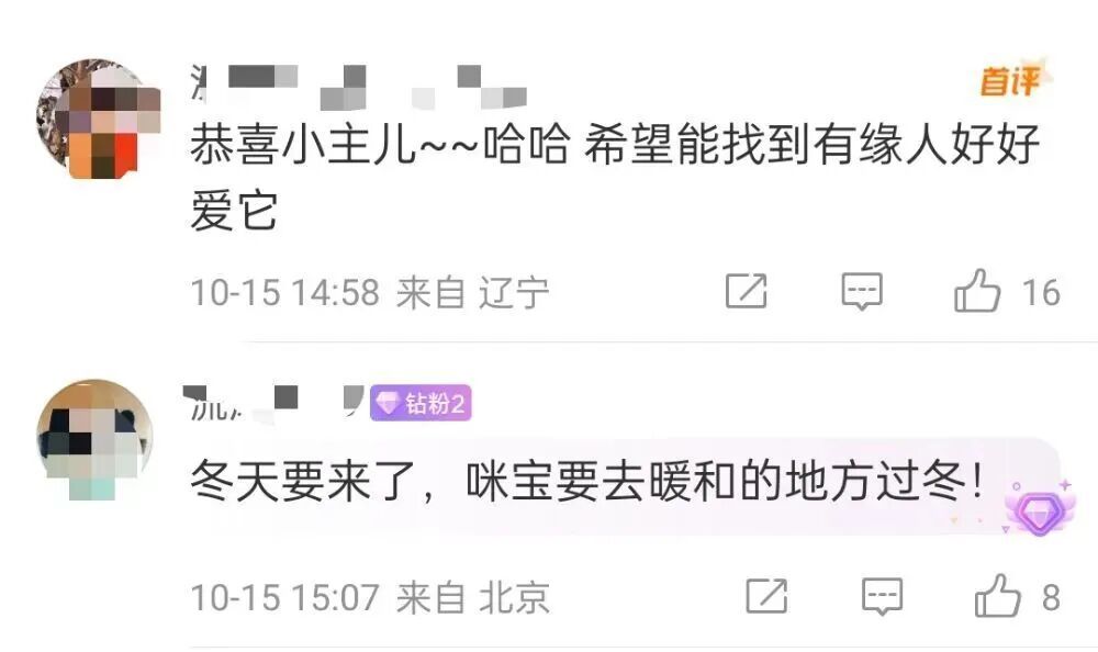 天安门“站岗”的小橘猫,你的福气在后头! 天安门“站岗”的小橘猫,你的福气在后头!