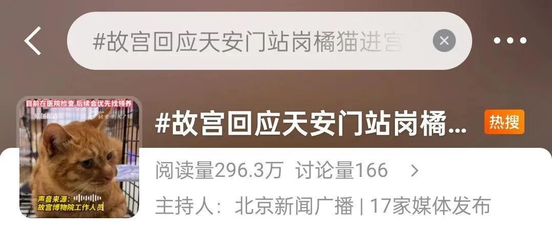 天安门“站岗”的小橘猫,你的福气在后头! 天安门“站岗”的小橘猫,你的福气在后头!