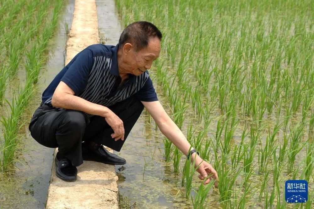 今天,我们格外怀念他 今天,我们格外怀念他