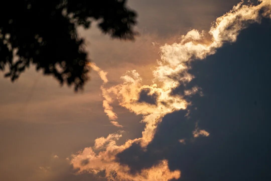 全能型冷空气即将到货!广东气温或现“1”字头 全能型冷空气即将到货!广东气温或现“1”字头