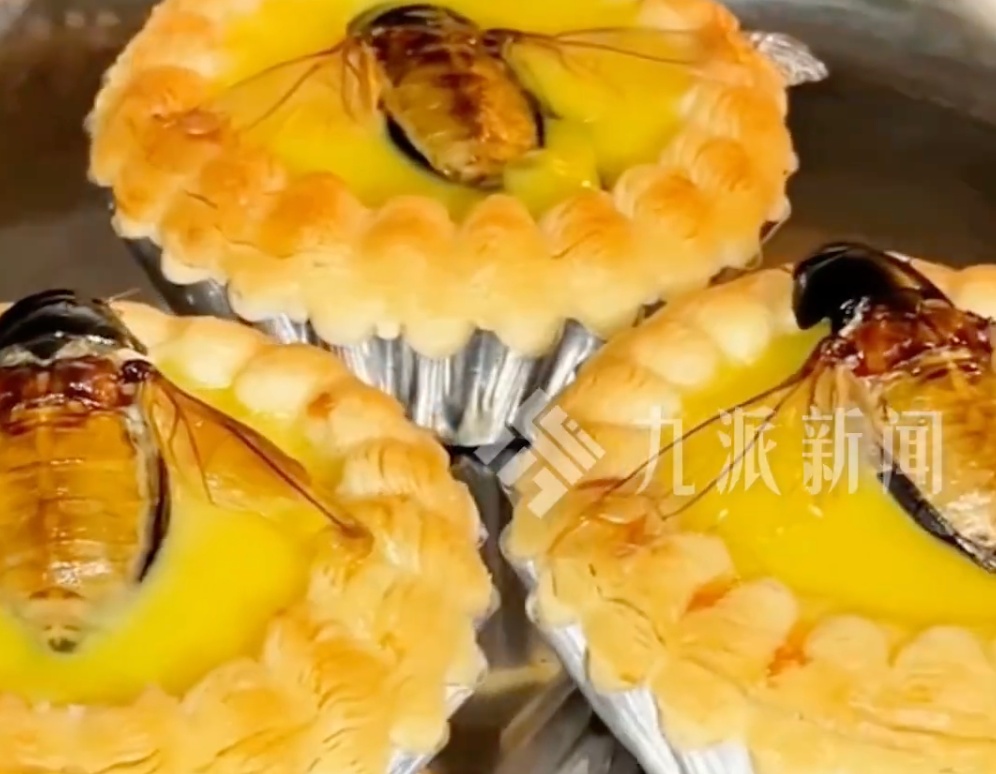 广东佛山一饭店推出“水蟑螂蛋挞”,老板:28元3个,水蟑螂具有治疗夜尿、补肾气、养颜等功效,每天能卖出约20份 广东佛山一饭店推出“水蟑螂蛋挞”,老板:28元3个,水蟑螂具有治疗夜尿、补肾气、养颜等功效,每天能卖出约20份