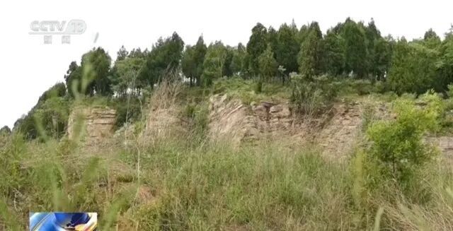 男子登山途中离队坠亡,家属索赔30万,法院判了:登山组织者被判担责5%,赔4万余元 男子登山途中离队坠亡,家属索赔30万,法院判了:登山组织者被判担责5%,赔4万余元