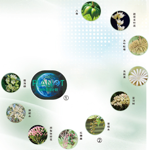 为“植物生命之树”绘制全景图(院士讲科普) 为“植物生命之树”绘制全景图(院士讲科普)