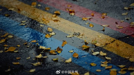 难得相遇!秋雨与北方彩叶同框 美如水墨画卷 难得相遇!秋雨与北方彩叶同框 美如水墨画卷