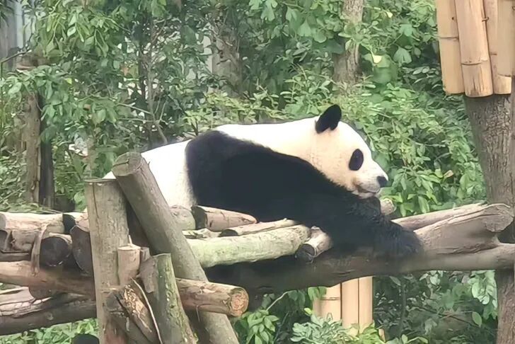 两座省会城市实现当日往返