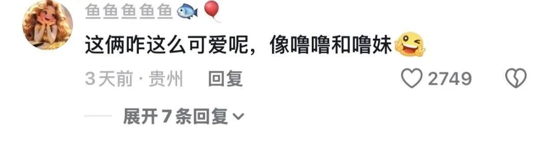 “糊涂鬼,手机交给警察了!”三亚“00后”情侣这波操作获全网点赞 “糊涂鬼,手机交给警察了!”三亚“00后”情侣这波操作获全网点赞