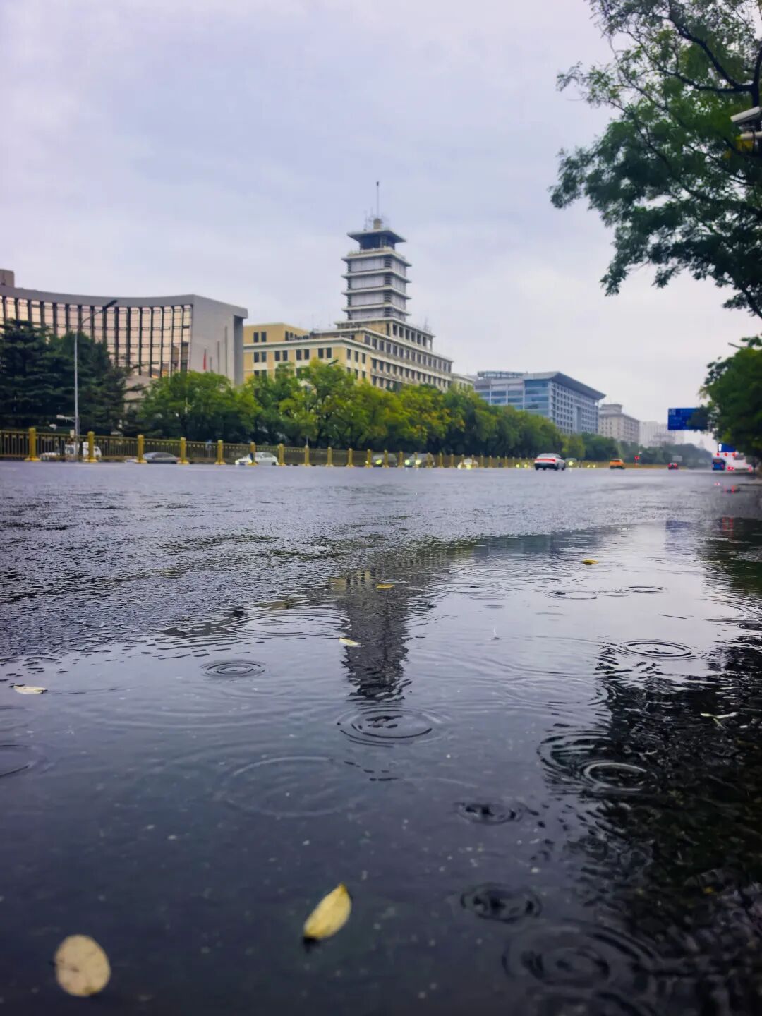 怀柔发布暴雨蓝色预警!多公园游船停航,北京的大雨正在下! 怀柔发布暴雨蓝色预警!多公园游船停航,北京的大雨正在下!