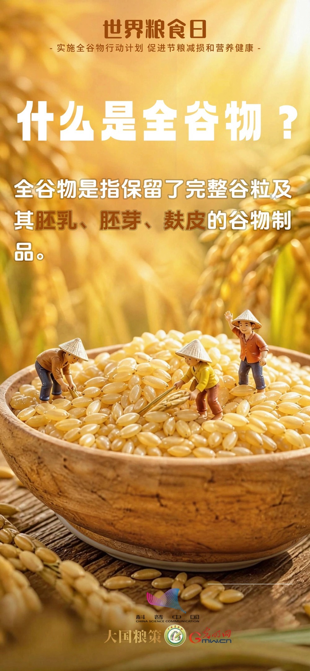 别只吃精米白面！全谷物了解一下