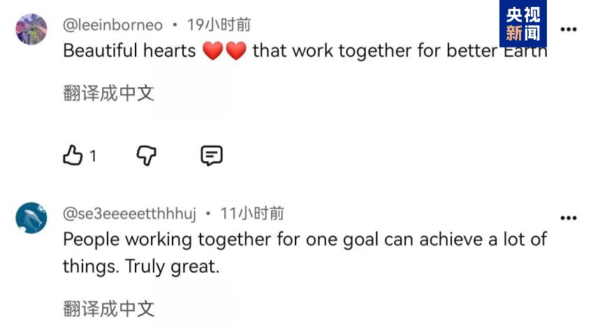 殷玉珍，获联合国表彰
