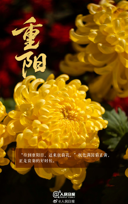 陪伴是最好的重阳礼