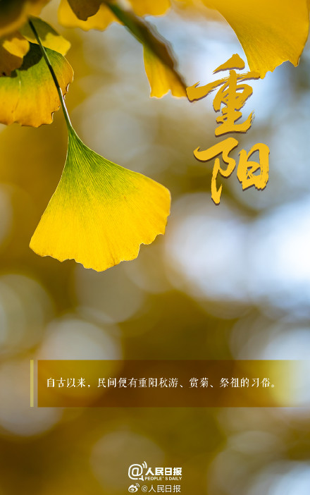 陪伴是最好的重阳礼