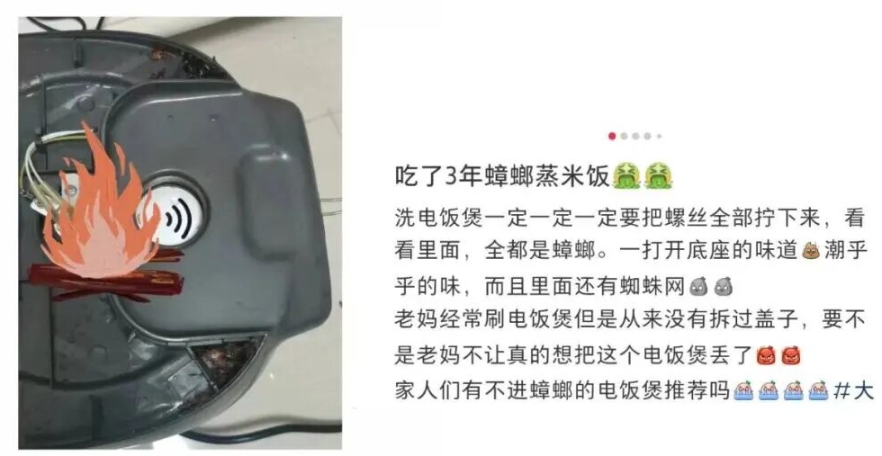 “吃了3年蟑螂蒸米饭！”电饭煲只洗内胆？这4个位置一定要及时清洗！