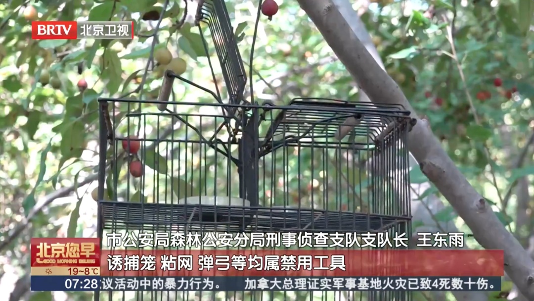 北京警方：见到这种笼子，立即举报！