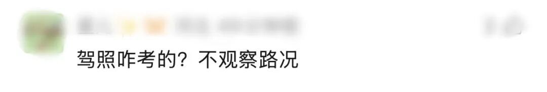 “树全责！”上海一司机撞树喊冤：这棵树长太歪！交警一句话点醒众人