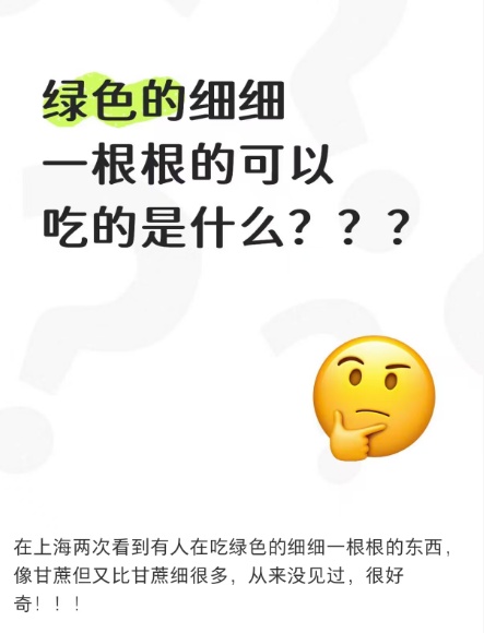 网友疑惑：起猛了！我看到有上海人在啃竹子？评论区集体回忆：阿拉从小吃到大！