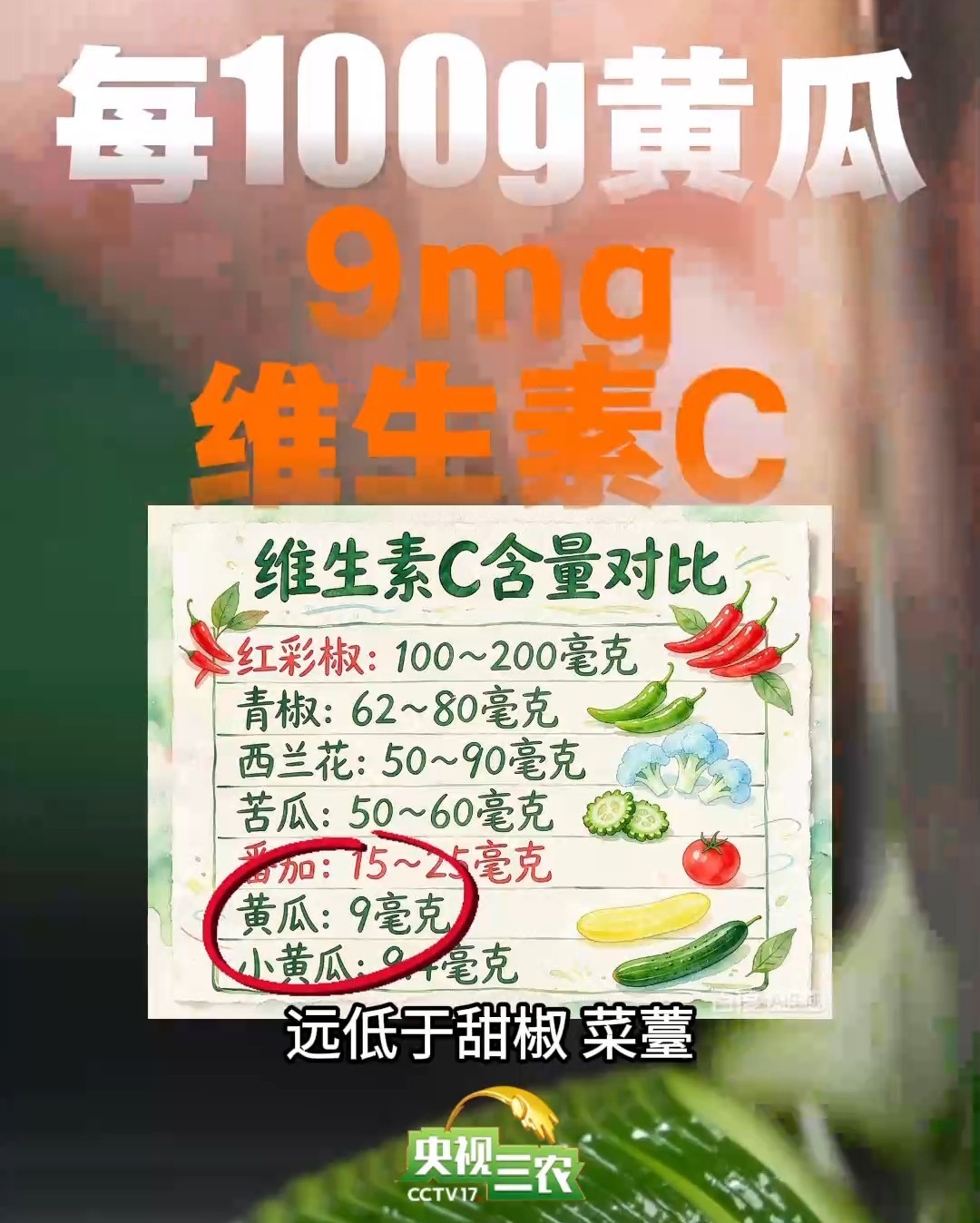 饭前啃黄瓜控血糖？关于黄瓜的真相来了