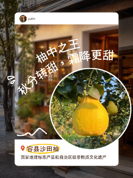 玉林美食直接给到夯，又香又好吃！